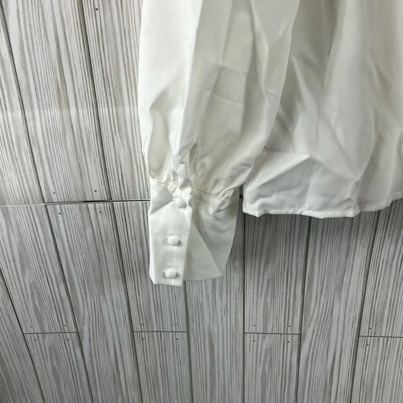 Clothes White Top with Sequined Slacks - Picture 6 of 11